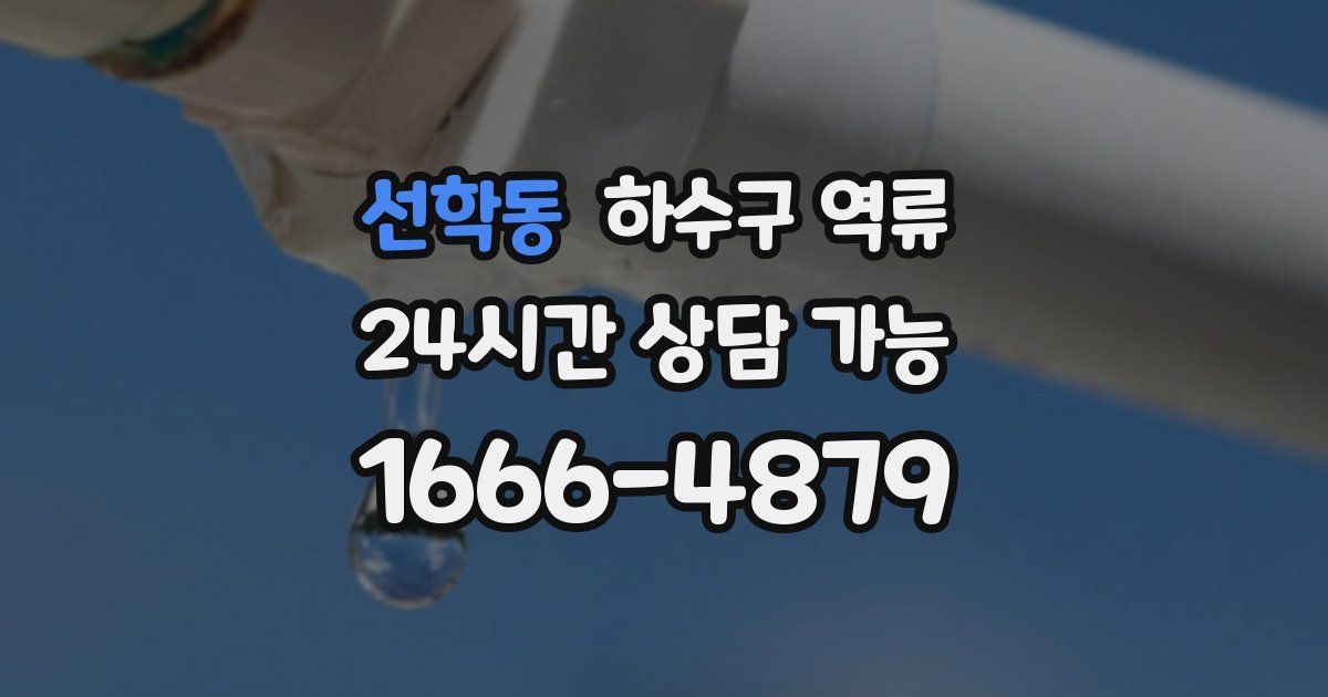 선학동 하수구 역류