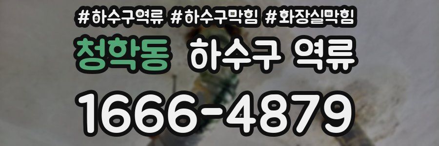 청학동 하수구 역류