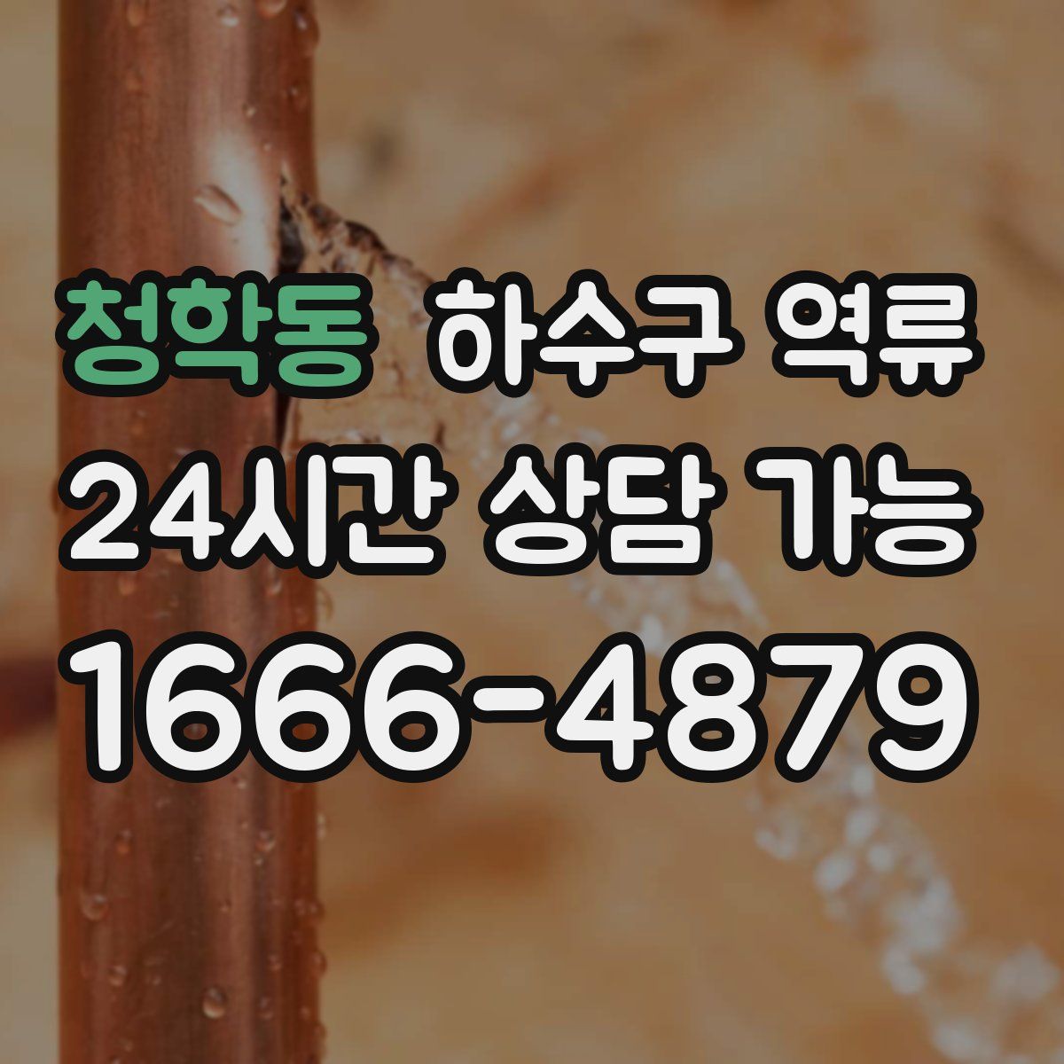 청학동 하수구 역류