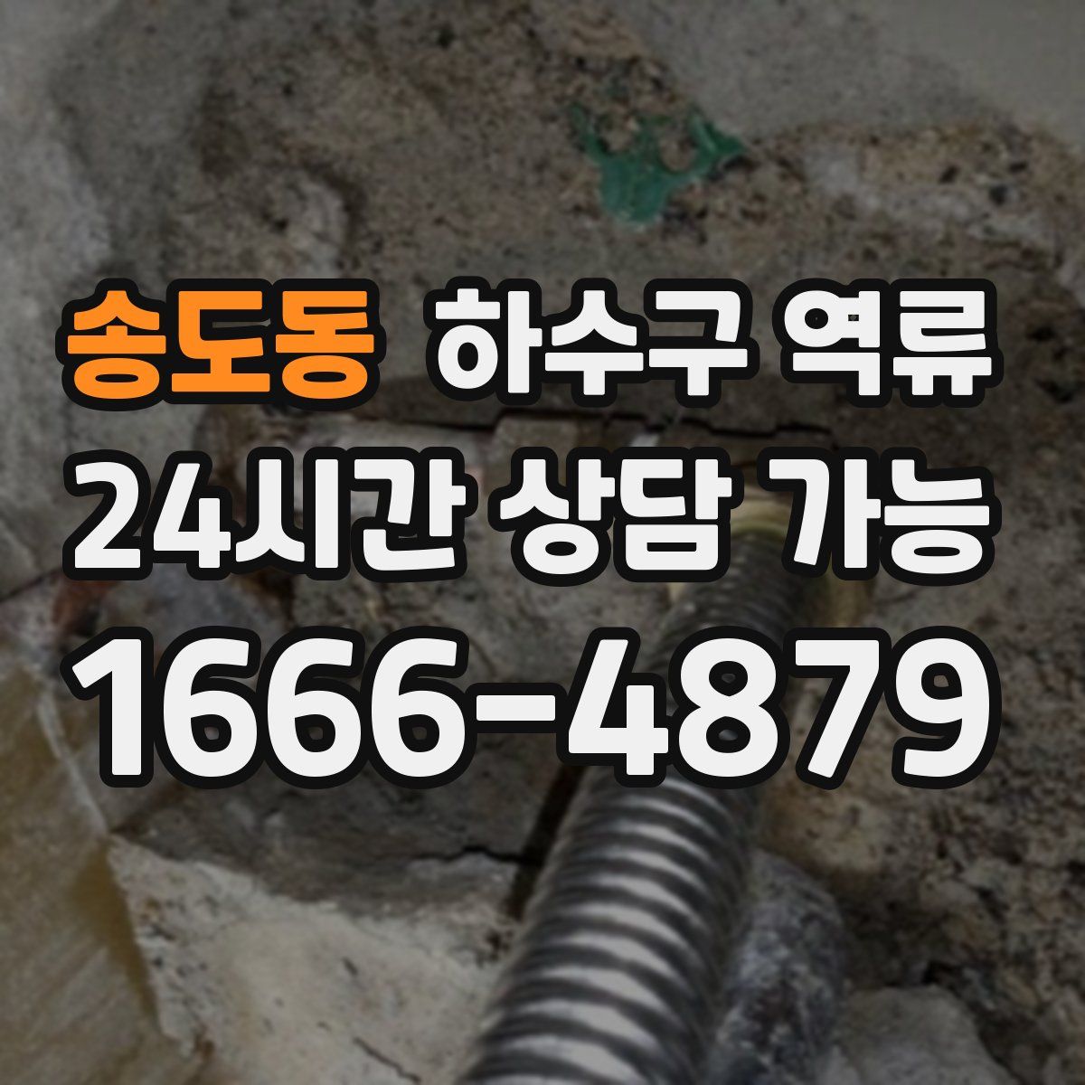 송도동 하수구 역류