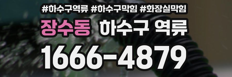 장수동 하수구 역류