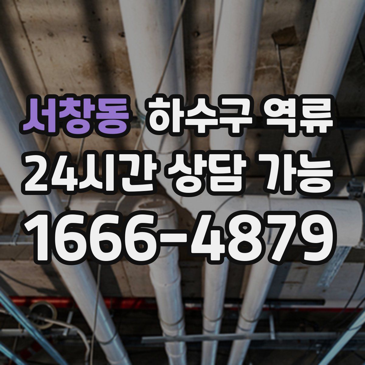 서창동 하수구 역류