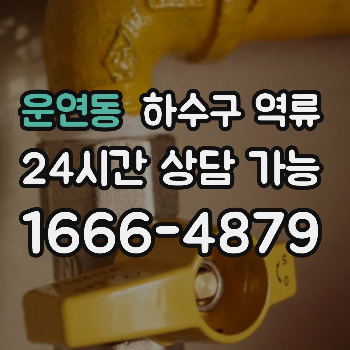 운연동 하수구 역류