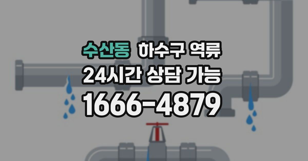 수산동 하수구 역류