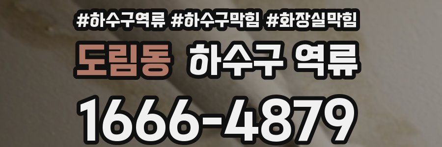 도림동 하수구 역류