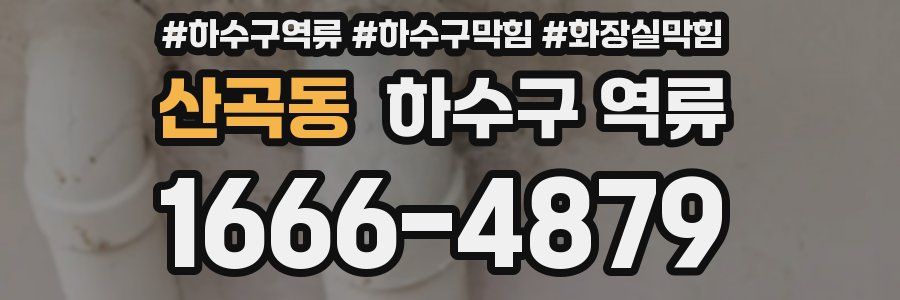 산곡동 하수구 역류