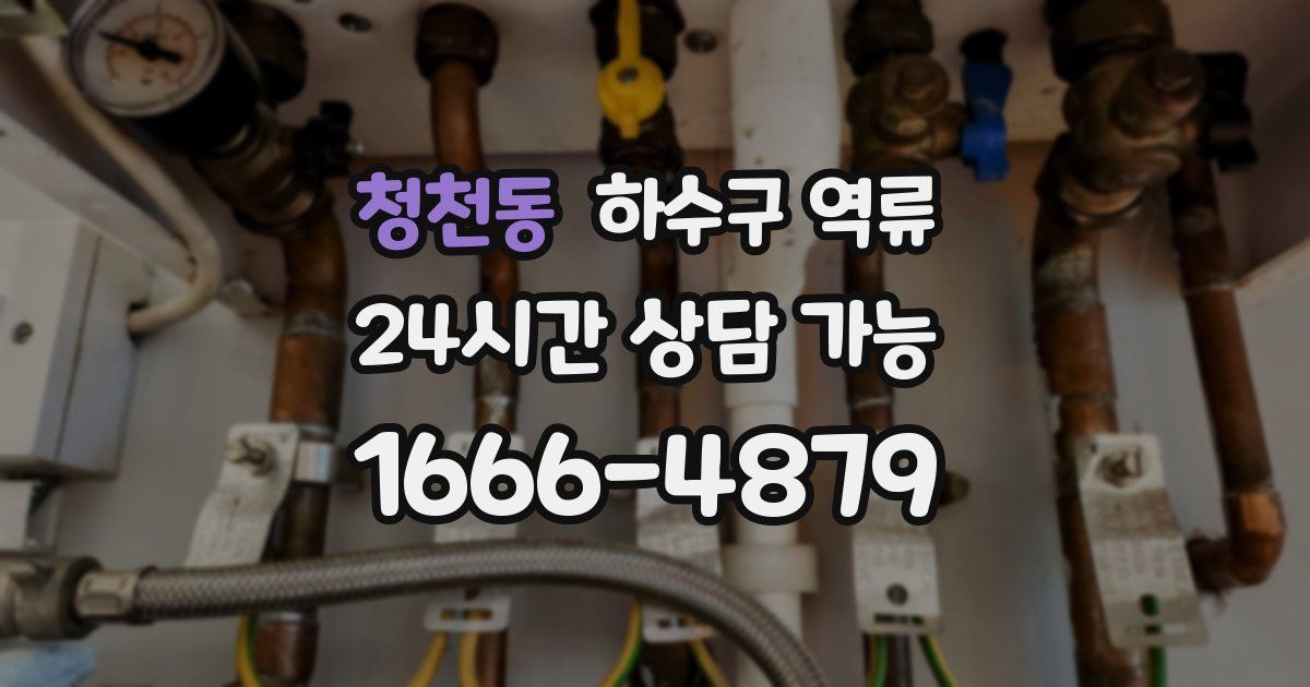 청천동 하수구 역류