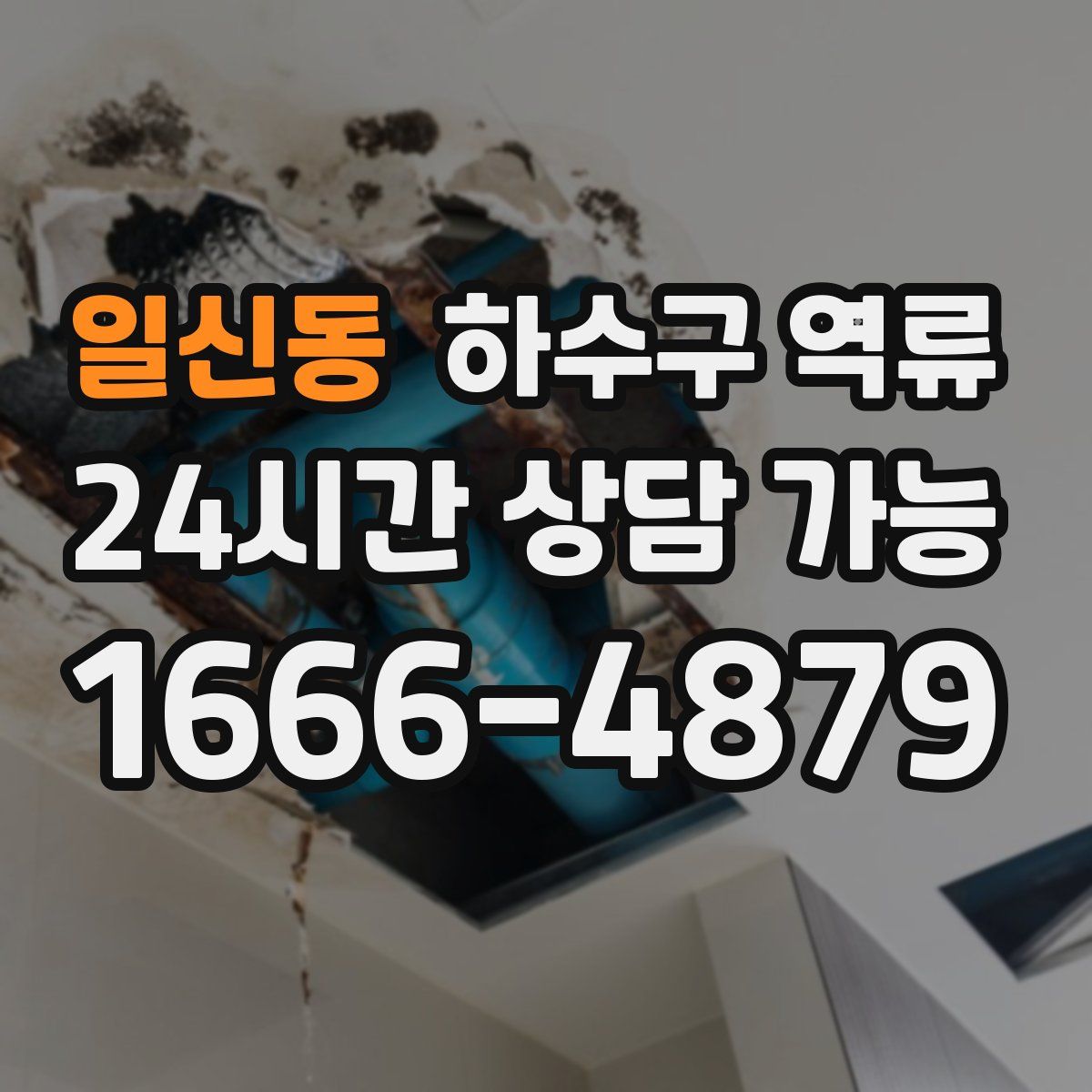 일신동 하수구 역류