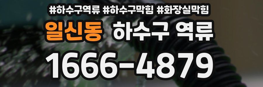 일신동 하수구 역류