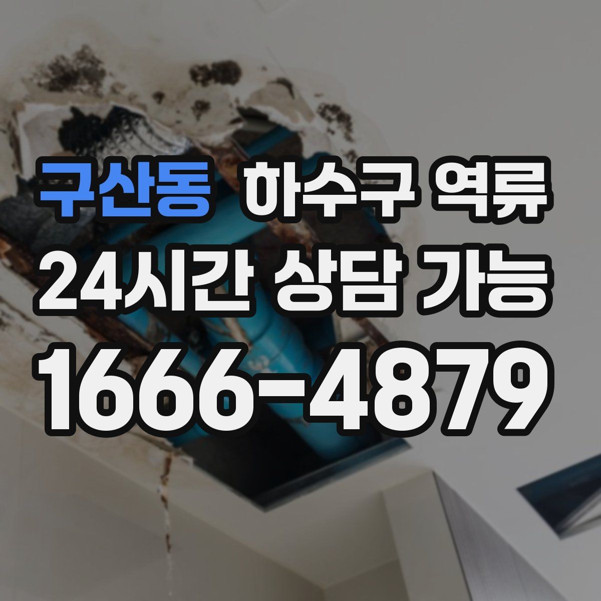 구산동 하수구 역류