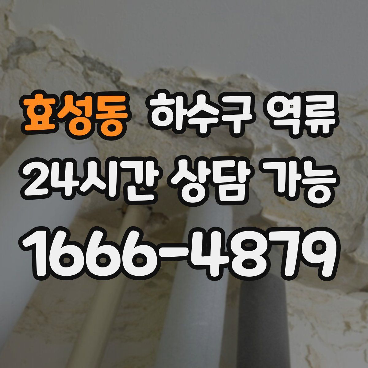 효성동 하수구 역류