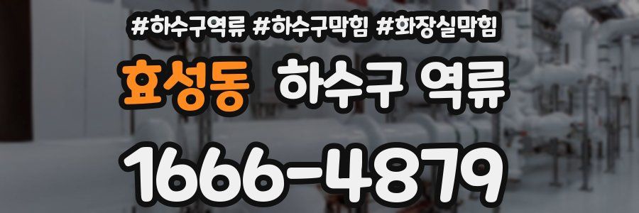 효성동 하수구 역류