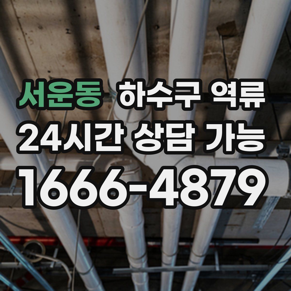 서운동 하수구 역류