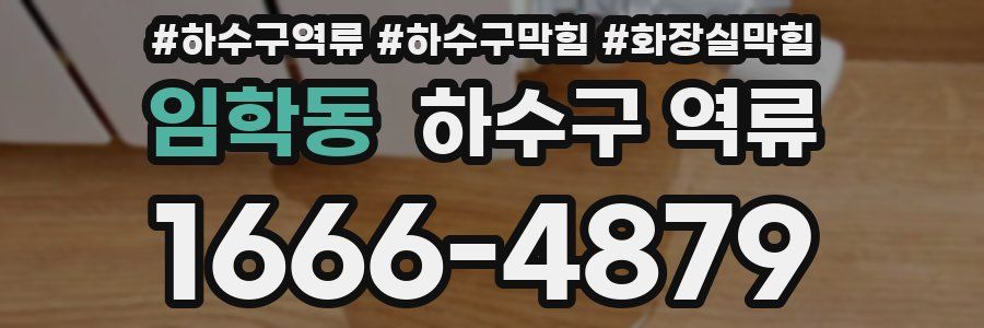 임학동 하수구 역류