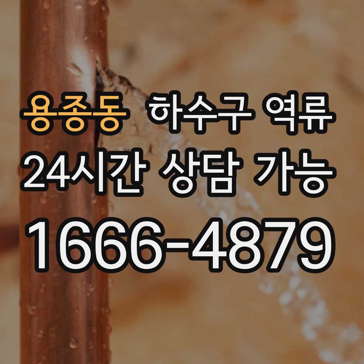 용종동 하수구 역류