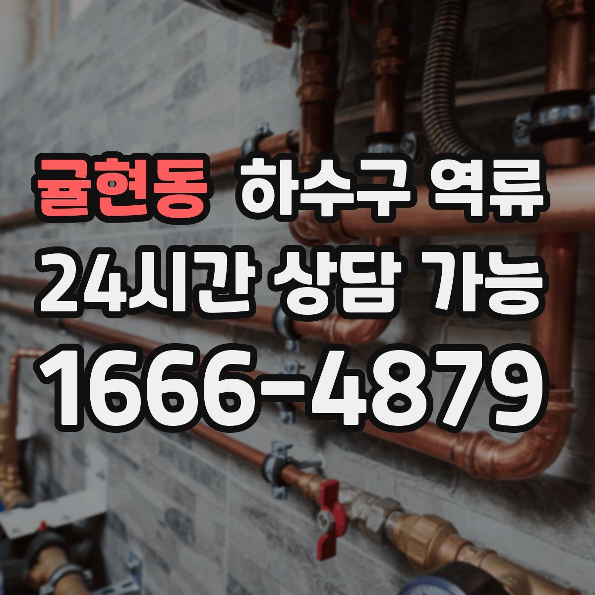 귤현동 하수구 역류