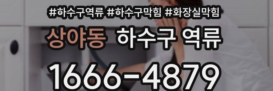 상야동 하수구 역류