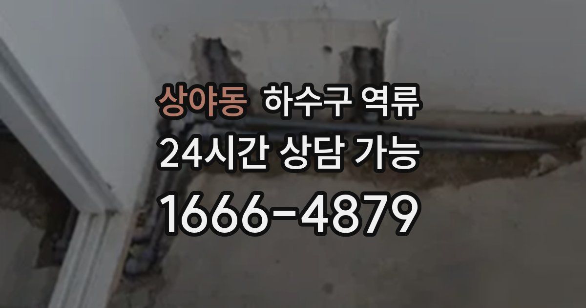 상야동 하수구 역류