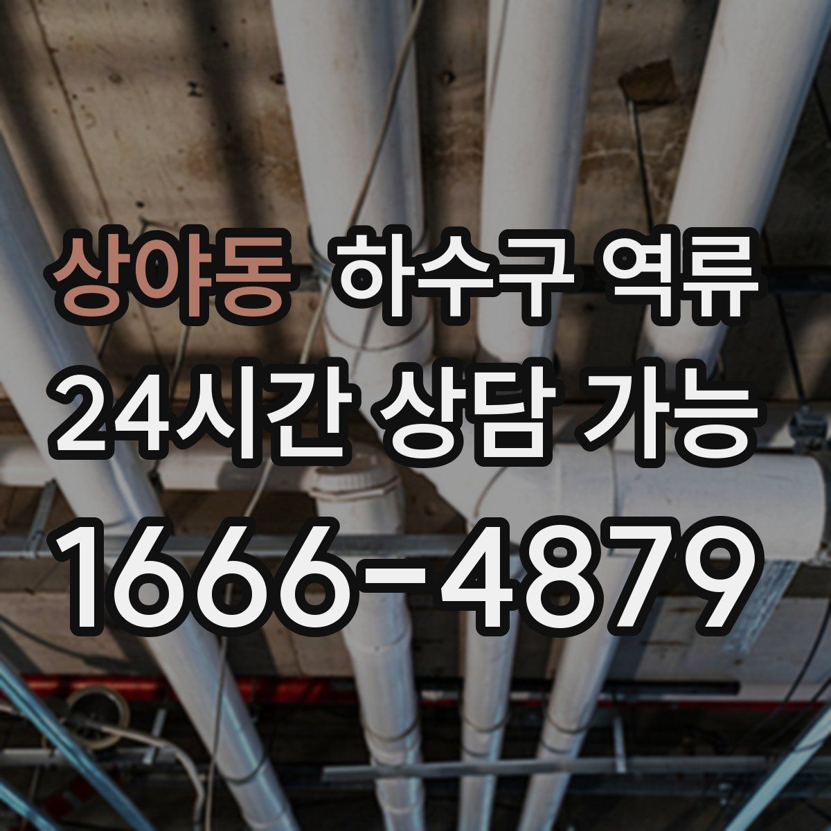 상야동 하수구 역류