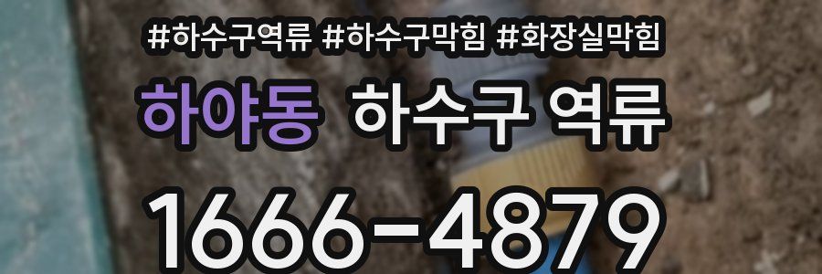 하야동 하수구 역류