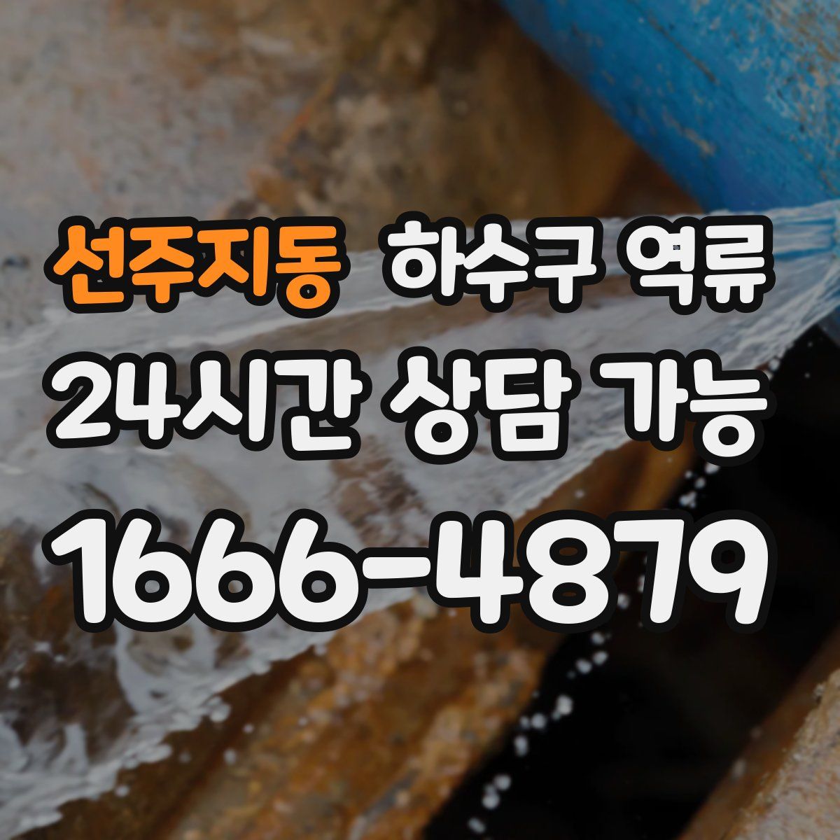 선주지동 하수구 역류