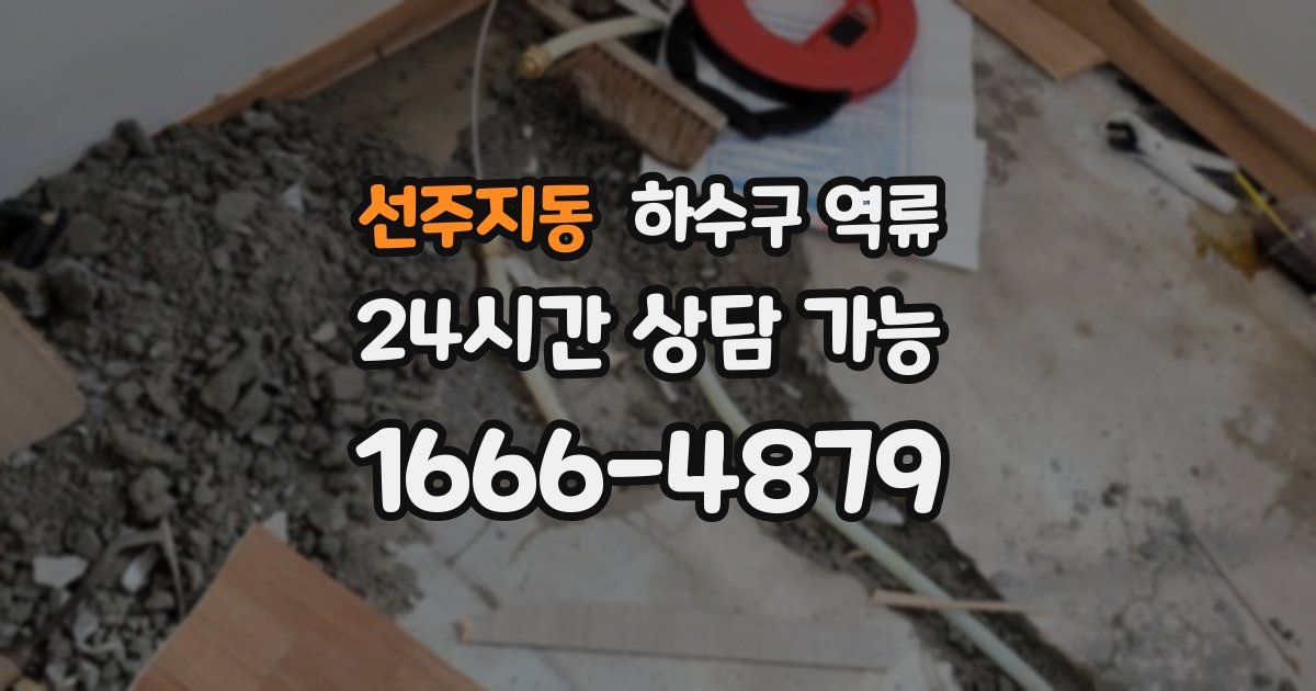 선주지동 하수구 역류