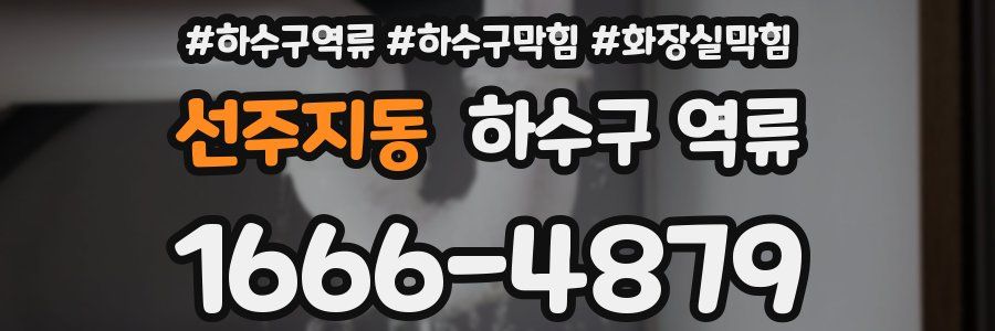 선주지동 하수구 역류