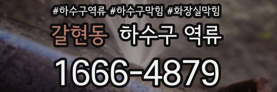 갈현동 하수구 역류