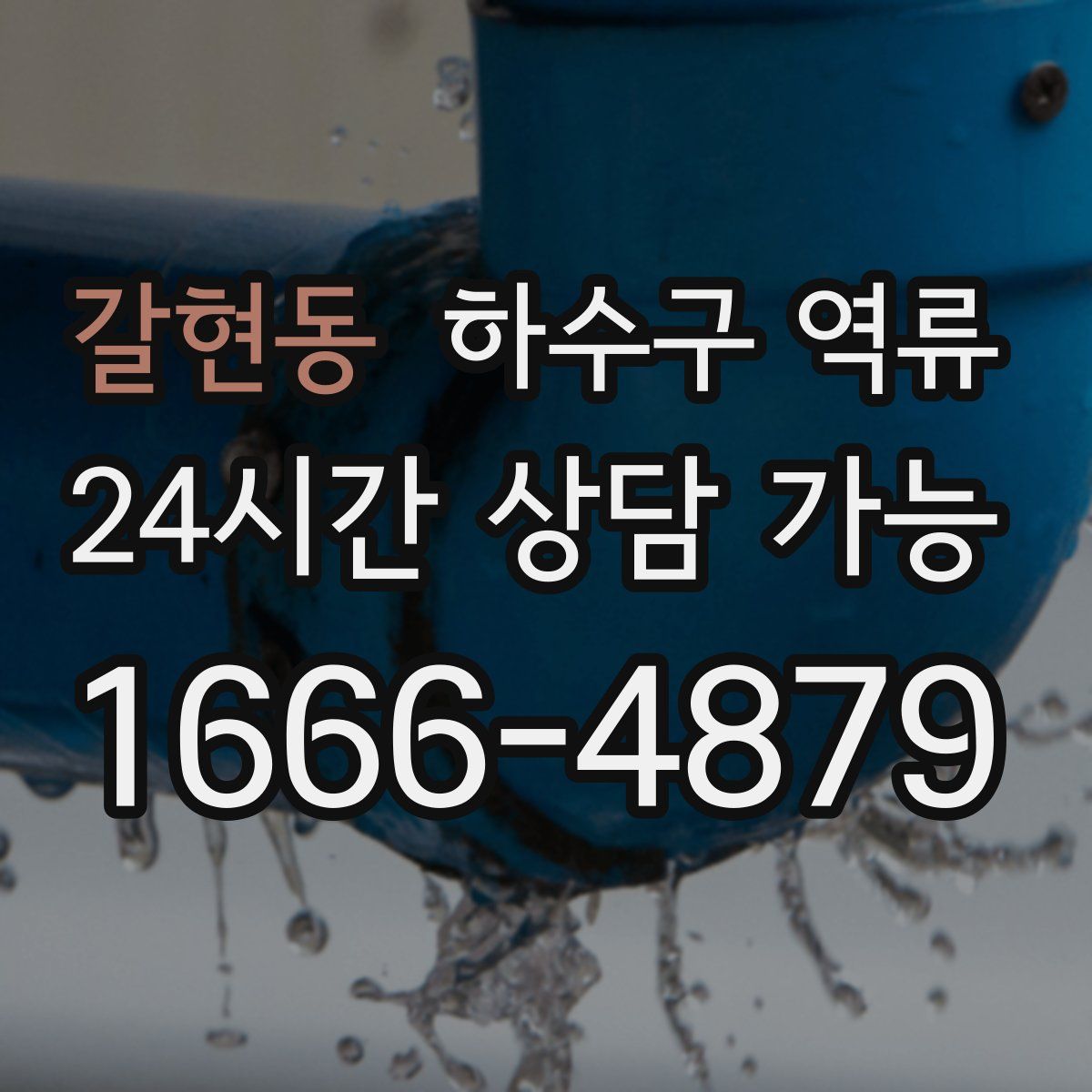 갈현동 하수구 역류