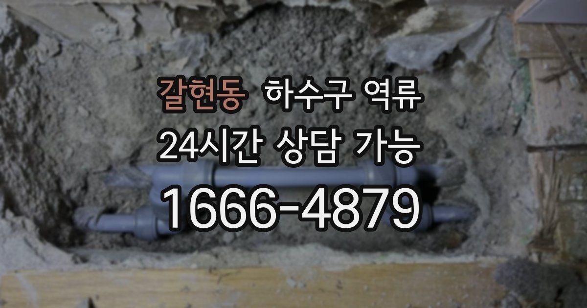 갈현동 하수구 역류