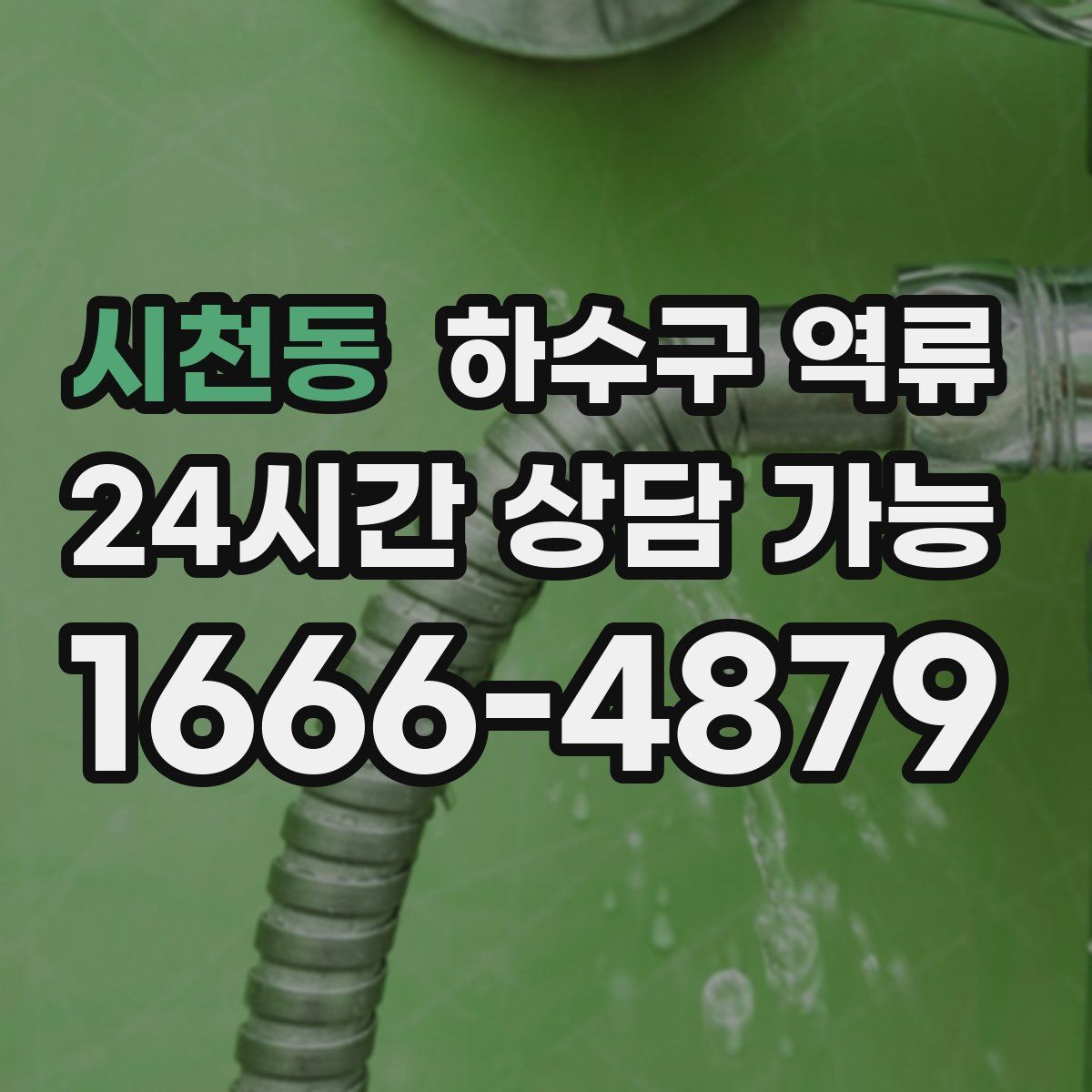 시천동 하수구 역류