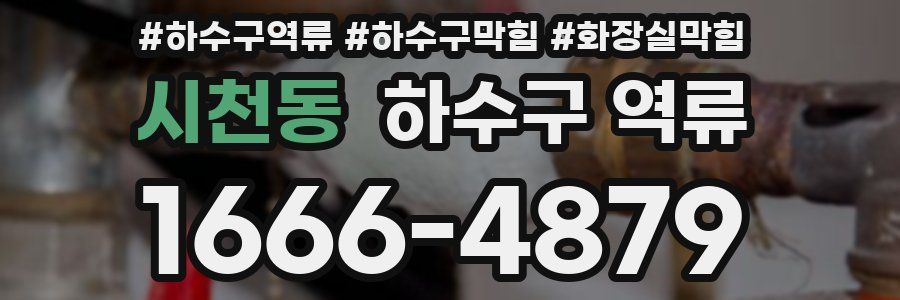 시천동 하수구 역류