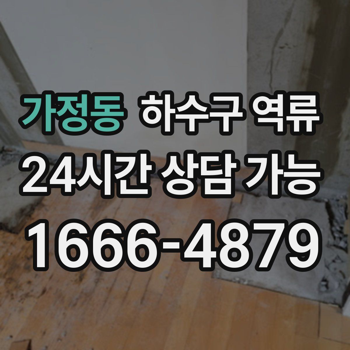 가정동 하수구 역류