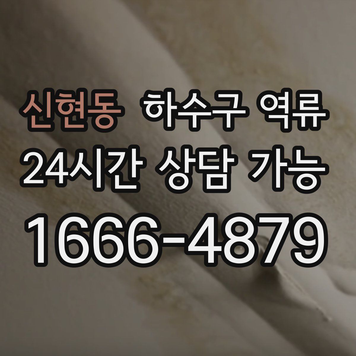 신현동 하수구 역류