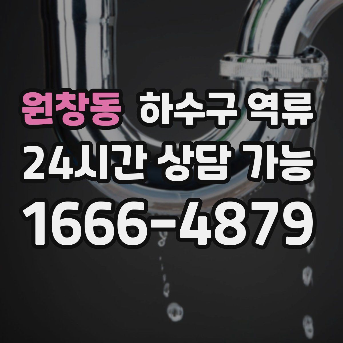 원창동 하수구 역류