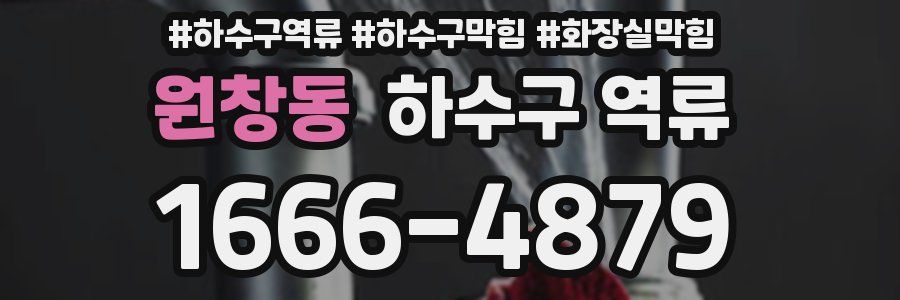 원창동 하수구 역류