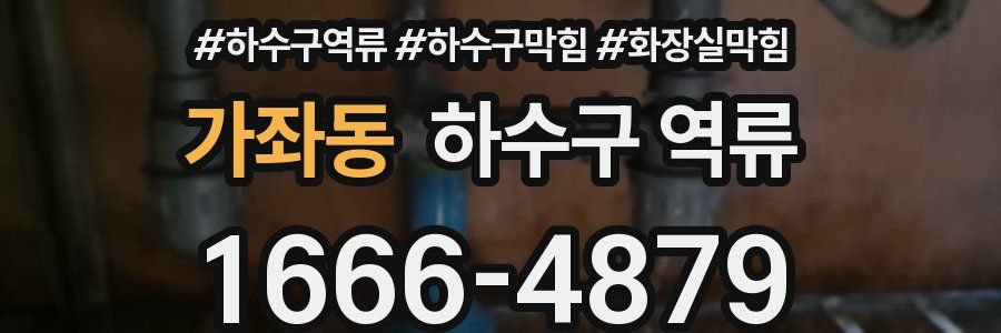 가좌동 하수구 역류