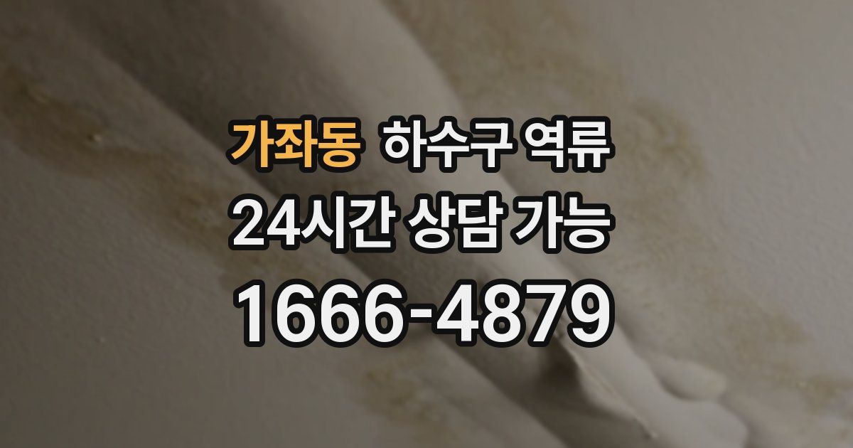 가좌동 하수구 역류