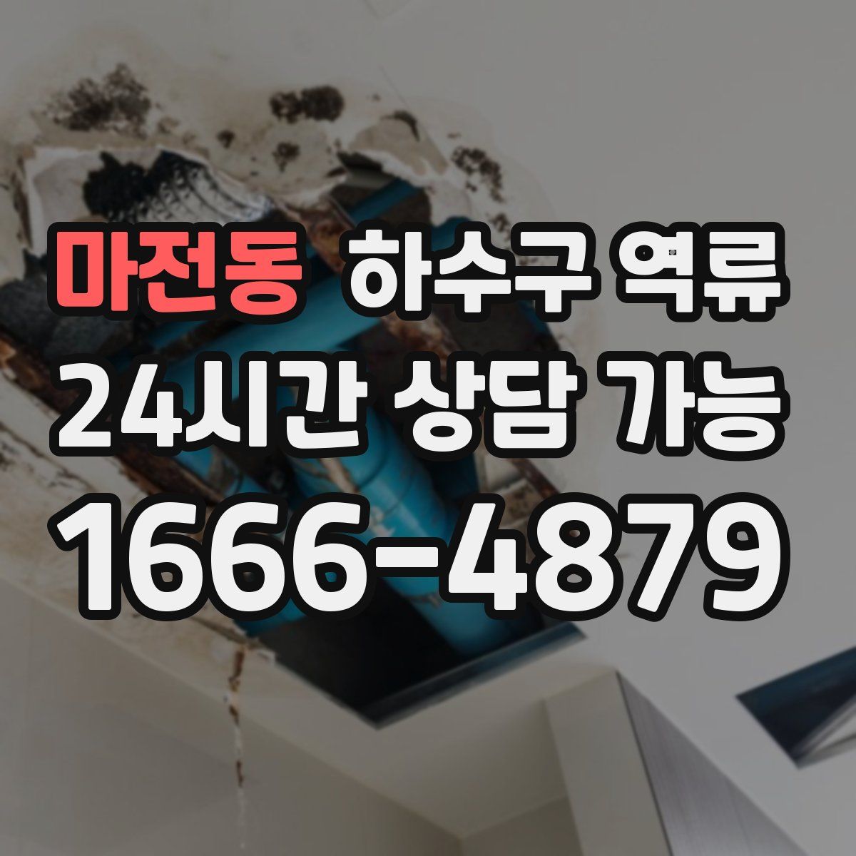 마전동 하수구 역류