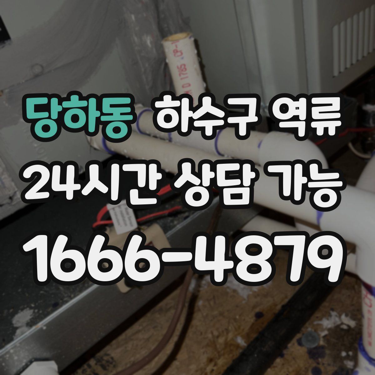 당하동 하수구 역류