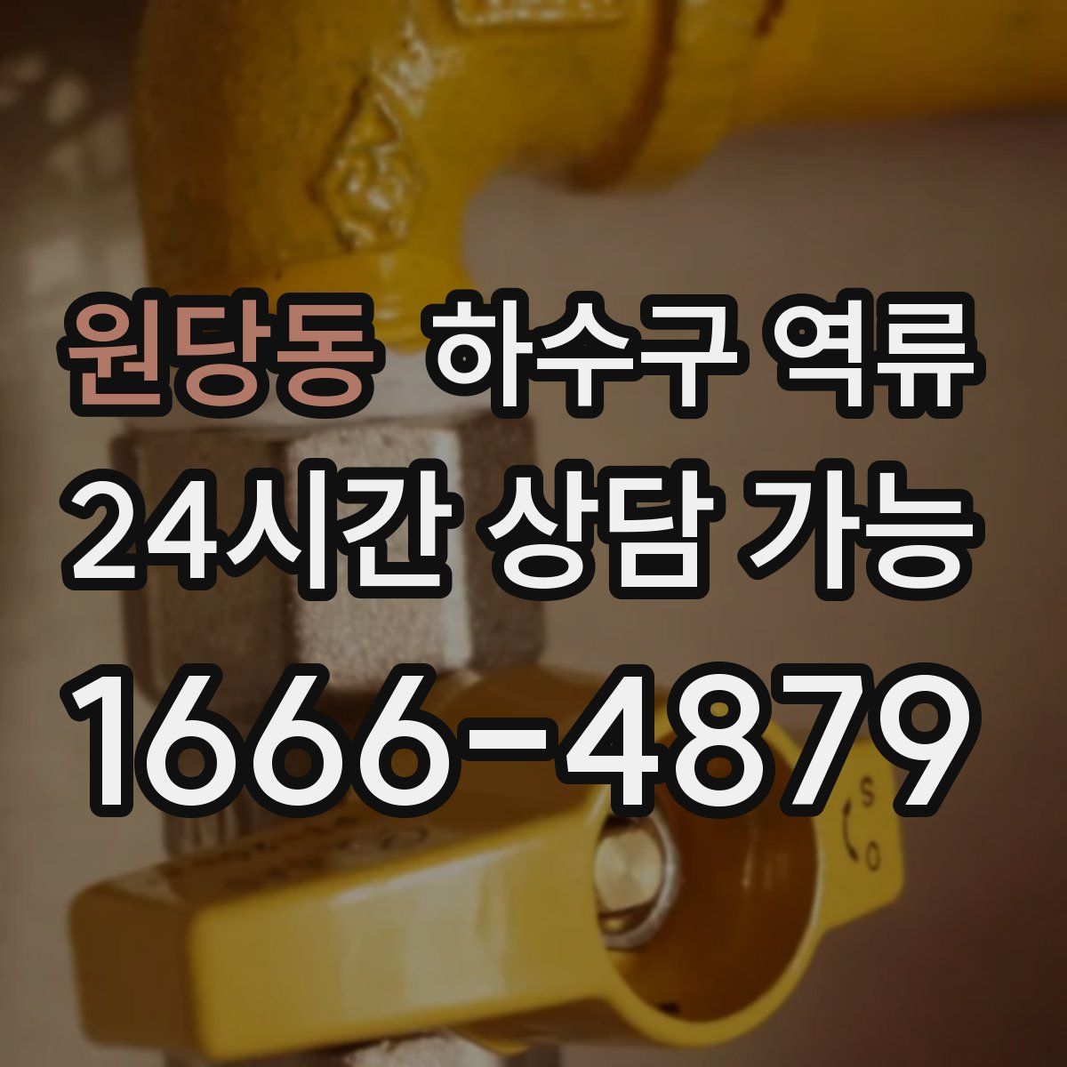 원당동 하수구 역류