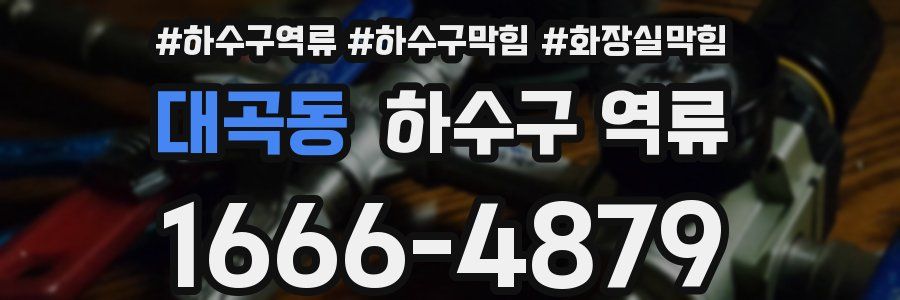 대곡동 하수구 역류