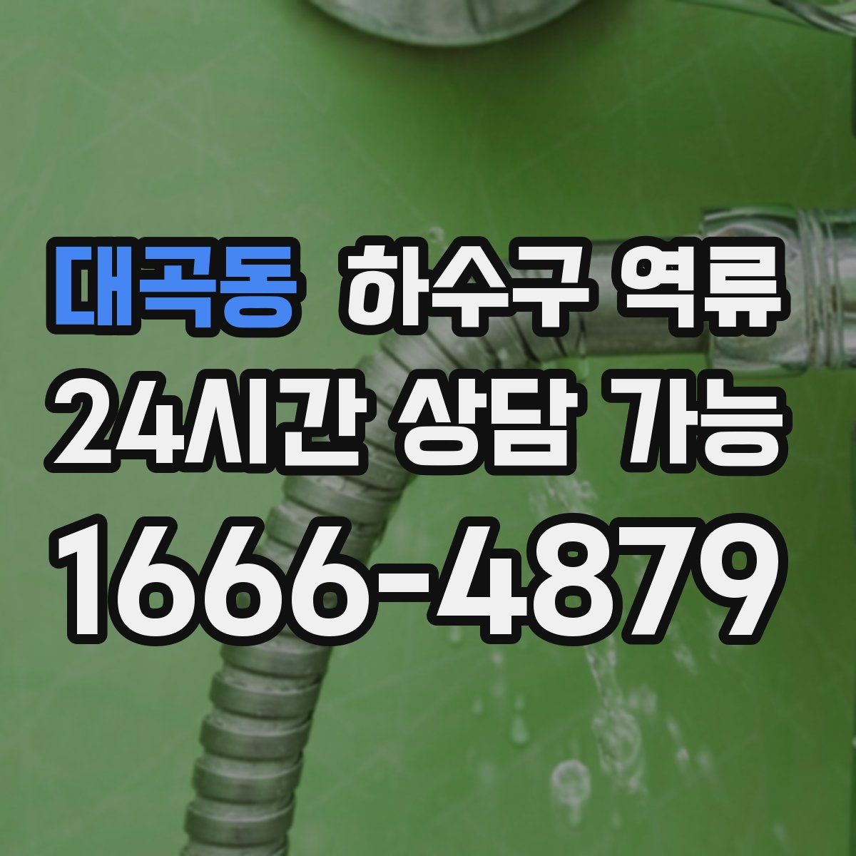 대곡동 하수구 역류