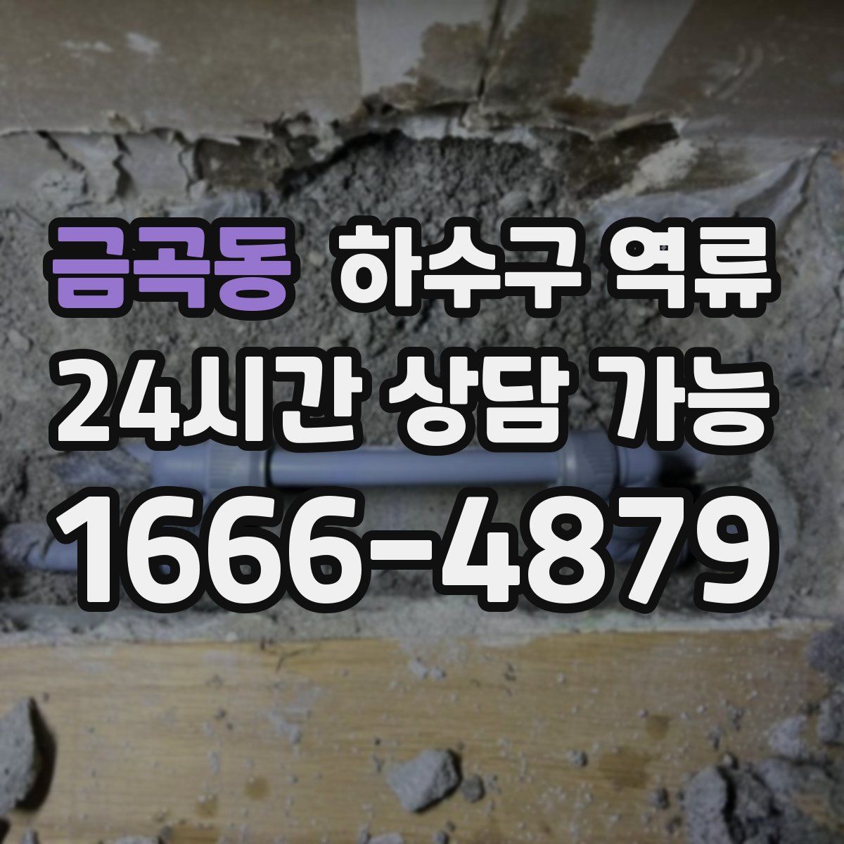 금곡동 하수구 역류