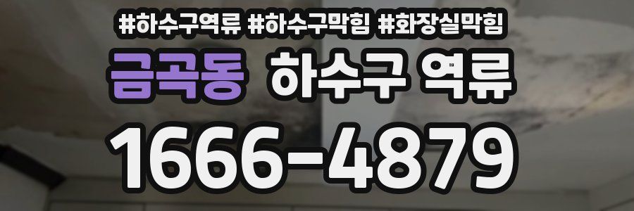 금곡동 하수구 역류