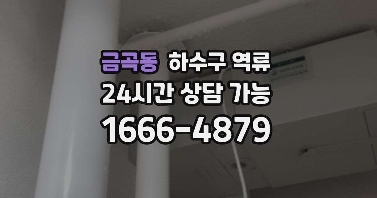 금곡동 하수구 역류