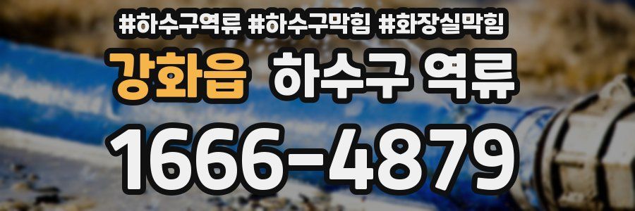 강화읍 하수구 역류