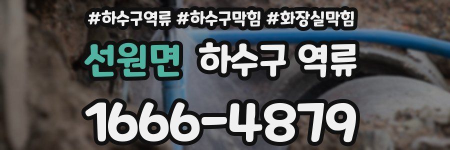 선원면 하수구 역류