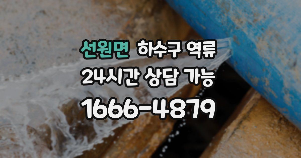 선원면 하수구 역류