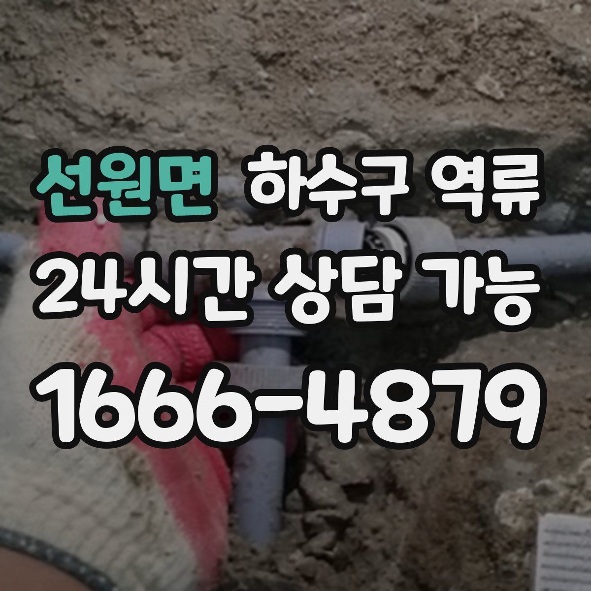 선원면 하수구 역류